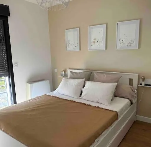 Magnifique T2 Apartment